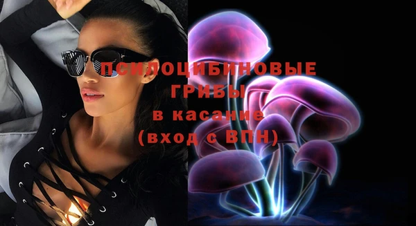 СК Алексеевка