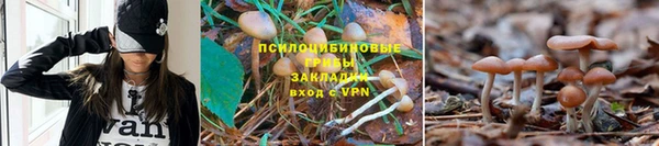 бошки Алзамай