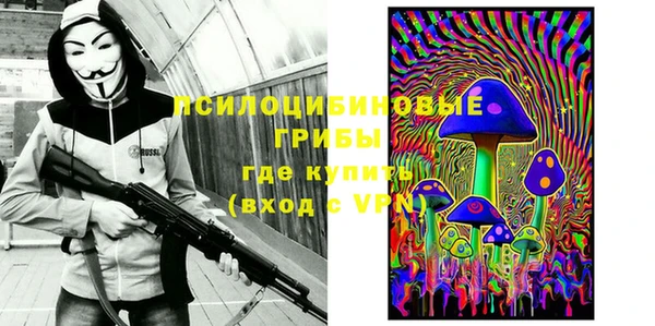 мяу мяу мука Иннополис