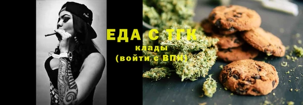 хмурый Алексин
