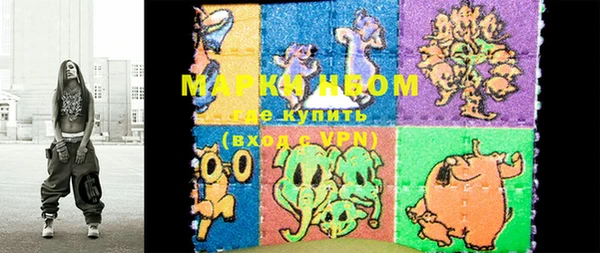 хмурый Алексин