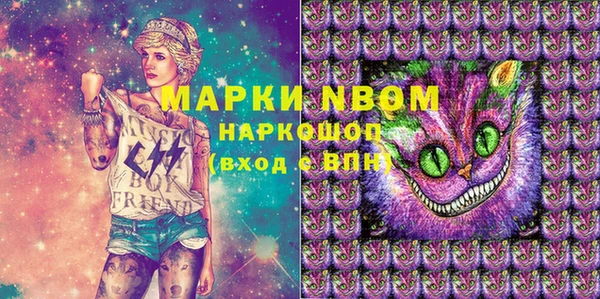 хмурый Алексин