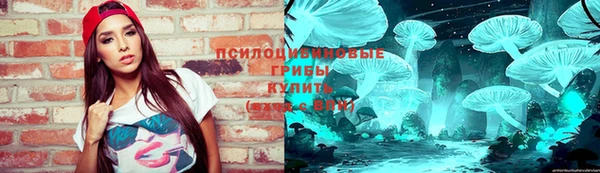 хмурый Алексин