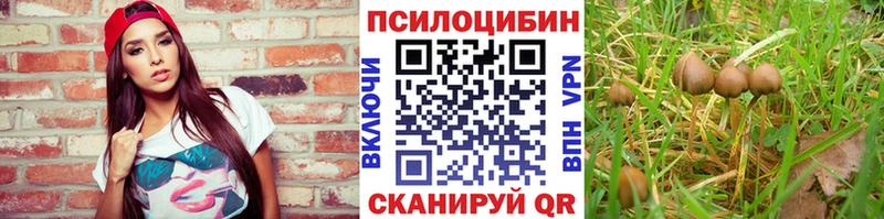 Псилоцибиновые грибы мухоморы Ухта